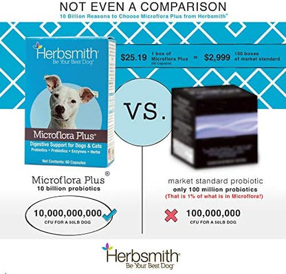 Herbsmith Microflora Plus – Dog Digestion Aid –Probiotics and Digestive Enzymes for Dogs – Prebiotic for Dogs – 30ct Capsules