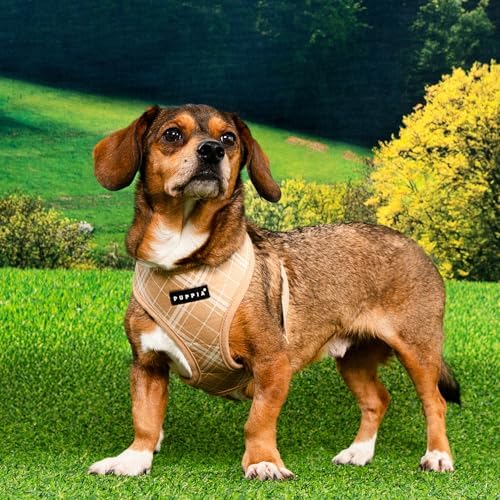Puppia Corwin Dog Harness A (Over-The-Head) Fashionable Checkered Pattern Spring Summer Harness for Small and Medium Dogs, Beige, Large