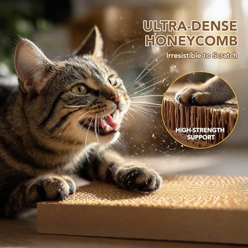 PETNOVO Cat Scratcher Bed, Foldable Collapsible Design, Outdoor Cat Bed