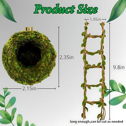 Jumping Spider Accessories - 2 Moss Hideouts & 2 Hemp Rope Bridges