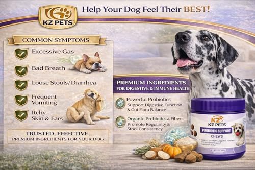 Probiotic Support Chews for Dogs – 6 Billion CFU 5-Strain Dog Probiotic with Prebiotics & Digestive Enzymes – Gut Health, Digestive Support & Immune Support Supplement – 100 Soft Chews