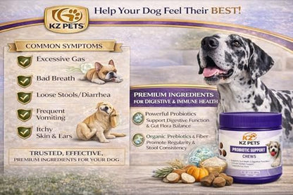 Probiotic Support Chews for Dogs – 6 Billion CFU 5-Strain Dog Probiotic with Prebiotics & Digestive Enzymes – Gut Health, Digestive Support & Immune Support Supplement – 100 Soft Chews