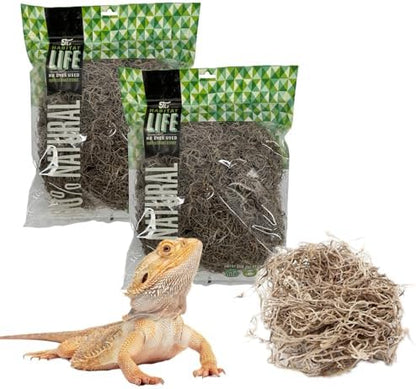 Spanish Moss for Terrarium Habitats, Medium 2-Pack