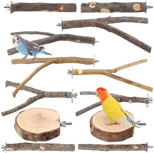 12 Pcs Natural Wood Bird Perch Stand & Platform Set for Cages