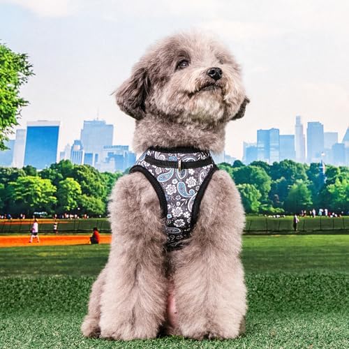 Puppia Cynthia Dog Vest Harness B (Step-in) Fashionable Paisley Pattern Spring Summer Harness for Small and Medium Dogs, Black, X-Large