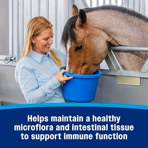 Farnam Hindgut Stabilizer Pellets, Daily Hindgut Support for Horses, 3.7 lb