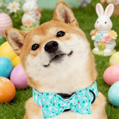 Dog Collars, Easter White Rabbit Print Blue Cotton Collar Holiday Adjustable Light Plastic Buckle Collar with Bow Pet Collar Gift for X-Small Dogs