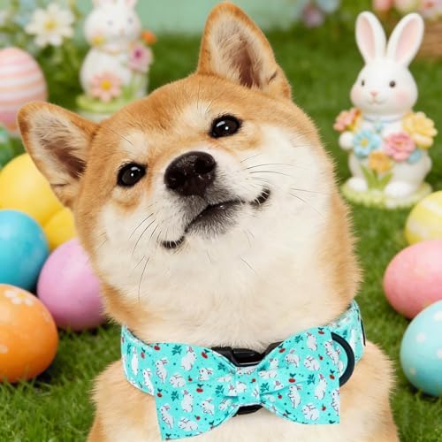 Dog Collars, Easter White Rabbit Print Blue Cotton Collar Holiday Adjustable Light Plastic Buckle Collar with Bow Pet Collar Gift for Medium Dogs