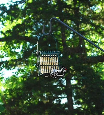 Wildlife Sciences Suet Cake Packs (Cranberry Snap)