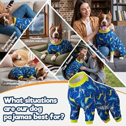 LovinPet Pitbull Clothes, Dog Bodysuit, Blue Dragon Print, 3XL
