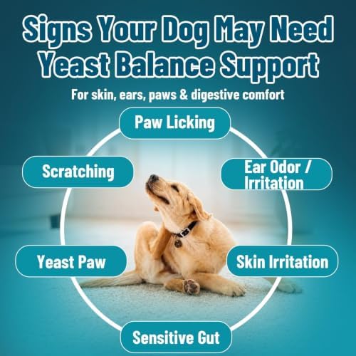 VICSOM Yeast Infection Treatment for Dogs, Itch Relief, 200 Soft Chews