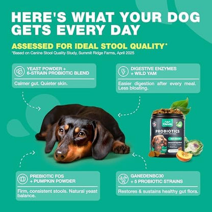 Probiotics for Dogs Gut & Digestive Health, Itchy Skin & Yeast Support