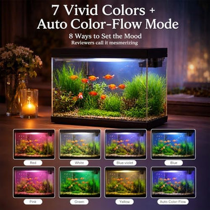 BARKBUDDY 2.4 Gallon Desktop Betta Fish Tank, All-in-One Starter Kit with Ultra-Quiet 3-in-1 Pump, 8-Mode LED, Temperature Display & Aroma Mist, for Office, Bedroom & Kid's Room