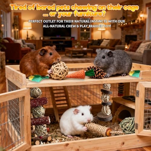 Rabbit Toys Bunny chew/Premium Guinea Pig Toys Natural Material Timothy Hay Sticks Apple Wood Sticks Handmade for Guinea Pig Hamster Rat Chinchilla