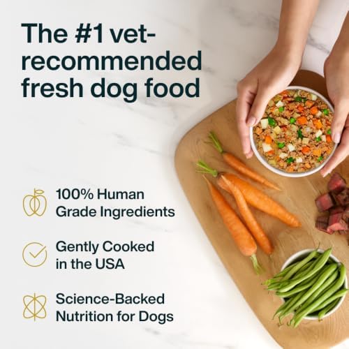 JustFoodForDogs Pantry Fresh Wet Dog Food, Complete Meal or Dog Food Topper, Beef & Potato Human Grade Dog Food Recipe - 12.5 oz (Pack of 12)