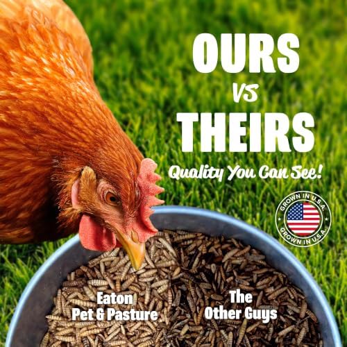 Eaton Pet and Pasture Premium Grubs, Dried Black Soldier Fly Larvae, 5 Lb