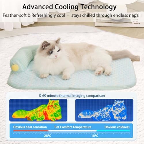 All-Season Ice Fabric Cat Bed with Cushioned Pillow Washable Mat for Pets