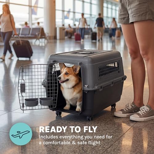 SportPet Airline Compliant MEDIUM 26.5" Travel Dog Kennel-Durable Plastic Airline Pet Carrier w/ Removable Wheels & Food Bowls, Collapsible Indoor/Outdoor Dog Kennel, Dogs up to 23"L & 15"H-Dark Gray