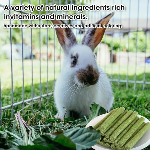 WDEFUN 45 PCS Timothy Hay Sticks for Rabbits Natural Molar Teeth Stick Chew Toys for Bunnies Chinchillas Guinea Pigs Hamsters and Other Small Animals Treats