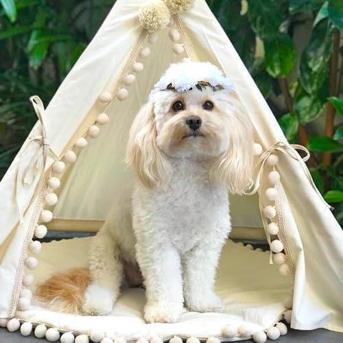 MINICAMP Pet Teepee Bed for Dogs and Cats – Cozy Indoor Dog Tent with Natural Cotton– Luxury Pet House & Hideaway Bed for Small to Medium Dogs, Cats and Other Animals - Made in EU (Medium)