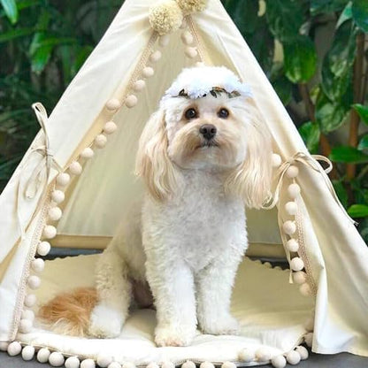 MINICAMP Pet Teepee Bed for Dogs and Cats – Cozy Indoor Dog Tent with Natural Cotton– Luxury Pet House & Hideaway Bed for Small to Medium Dogs, Cats and Other Animals - Made in EU (Medium)