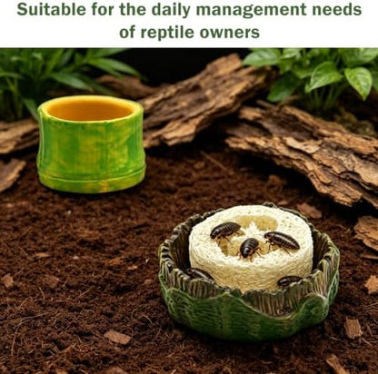 5pcs Dubia Roach Live Tree Stump Feeding Bowls & Green Bamboo Water Bowls Container with Loofah Net Set, Habitat for Dubia Roaches Live, Crickets & Springtails, Habitat Supplies