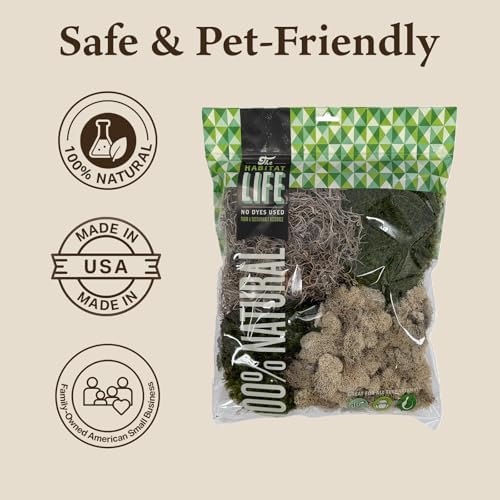 Variety Mix Moss for Terrarium Habitats, Medium 1-Pack