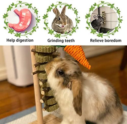 kathson Rabbit Chew Toys,Bunny Grind Teeth 100% Natural Organic Apple Wood Stick Improve Rodent Health Rabbits Hamsters Squirrel Guinea Pig(4 Pieces)