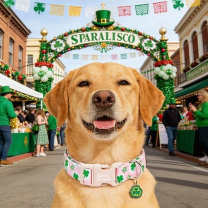 St Patrick's Pink Four-Leaf Clover Dog Collar for Medium Dogs