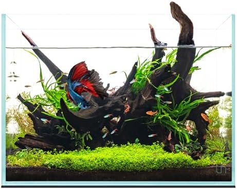 UNS Ultra Clear Rimless Tank - 11.9GAL | 45.3L - 17.71x11.02x14.17 | 45x28x36 CM, 5mm Glass Thickness, Leveling Mat Included - Low Iron, High Clarity Fish Tank w/ 45° Mitered Edge - [45T]