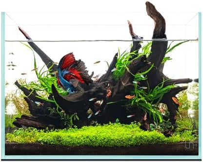 UNS Ultra Clear Rimless Tank - 11.9GAL | 45.3L - 17.71x11.02x14.17 | 45x28x36 CM, 5mm Glass Thickness, Leveling Mat Included - Low Iron, High Clarity Fish Tank w/ 45° Mitered Edge - [45T]