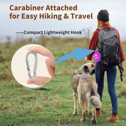 2-in-1 Collapsible Dog Travel Bowl Portable Silicone Carabiner