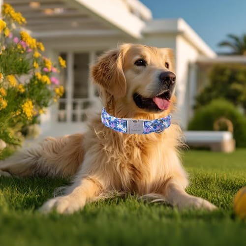 Floral Dog Collar, Cute Blue Wildflowers Dog Collars - Soft Adjustable Spring Summer Everyday Collars for Small Medium Large Dogs, Cottagecore Bloom Dogs Collar S