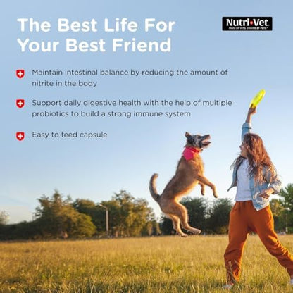 Nutri-Vet Probiotics for Dogs, Dog Probiotics, Immune Health, 60 Count
