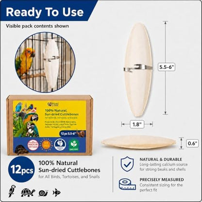 Birds LOVE 5.5 - 6″ Cuttlebones for Birds – 100% Natural Sun-Dried Calcium & Beak Conditioning Supplement for Parakeets, Budgies, Cockatiels, Finches & Canaries – 12 Pack with Holder – Made in Vietnam