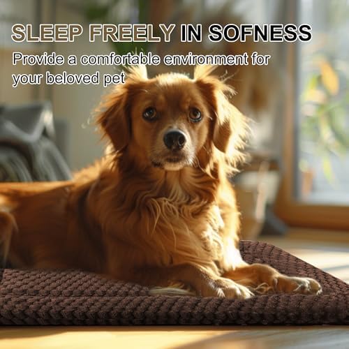Dog Bed Crate Mat, Soft Durable Washable Anti-Slip Kennel Pad for Dogs & Cats, Reversible (Dark Brown, M(30"*20"*1.5"))