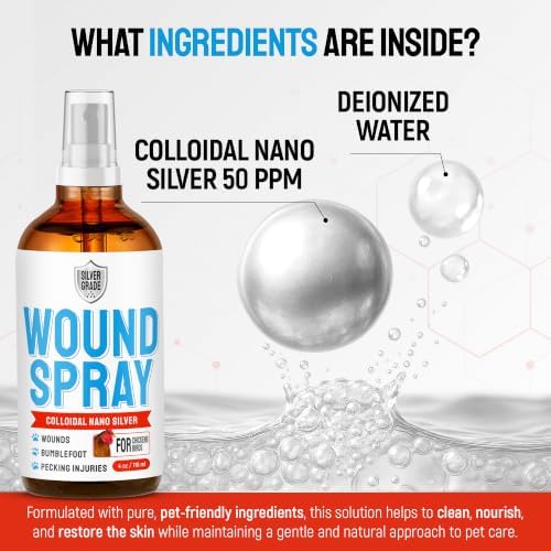 SILVER GRADE Wound Spray for Chicken – Birds & Chicken Antibiotics Alternative to Help with Pecking Sores, Bumblefoot, Cuts – Poultry Spray with Silver – GMOs Free – 4-Oz Bottle