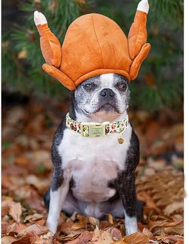 Lionheart glory Turkey Dog Collar, Thanksgining Day Dogs Collar Adjustable Soft Comfortable Collars for Small Dogs Girl or Boy Pet Gift Fall Cute Collar Quick Release Plastic Buckle