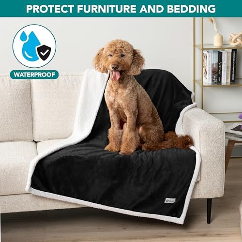 PetAmi Waterproof Dog Blanket for Medium Large Dog Pet, 60x40, Black