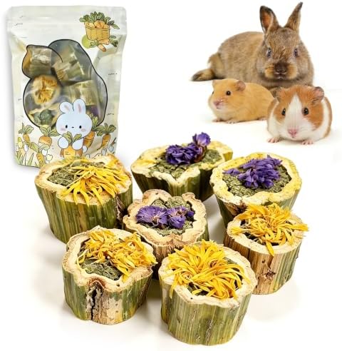 BNOSDM Guinea Pig Chew Toys Papaya Rabbit Treats Small Animals Food(3.5oz)