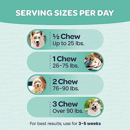 Immunity Boosting Dog Allergy Chews | Delicious and Soothing Hot Spot & Dog Itch Relief Chew for Seasonal Allergy Relief with Probiotics ACV Alaskan Salmon Oil & Colostrum for Dogs | 90 Chews