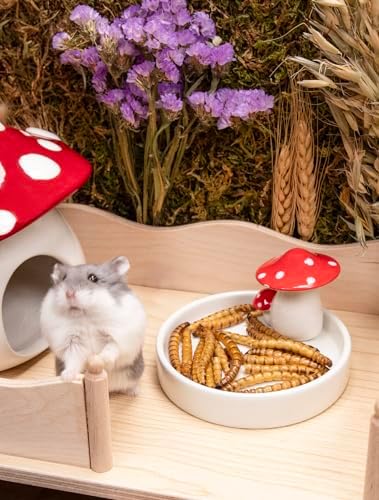 Niteangel Small Animal Snack & Treats - Dried Worms & No Additive