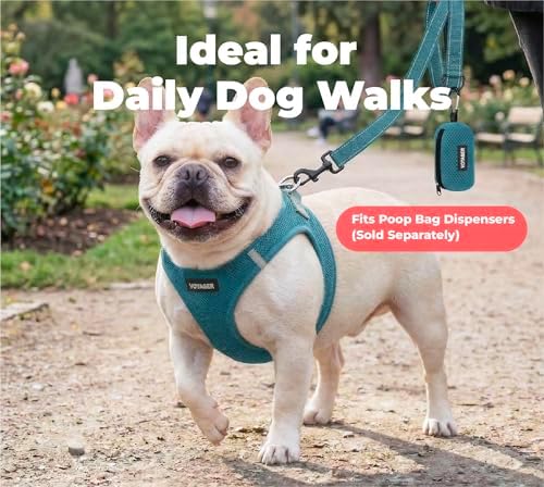 Best Pet Supplies Voyager Nylon Dog Leash - Turquoise, Small