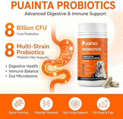 PUAINTA Probiotics for Dogs & Cats, Digestive Health Capsules,90 Ct