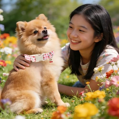 Spring Dog Collar, UP URARA PUP Strawberry Collars in Pink Checkered Adjustable Pet Collar with Quick Release, Daily Dog Accessories for Small Medium Large Dogs