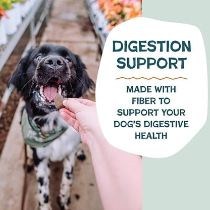 Shameless Pets Soft-Baked Dog Treats, Pumpkin Nut Partay - Natural & Healthy Dog Chews for Digestive Support with Fiber - Made in USA, Free from Grain, Corn & Soy - 1-Pack