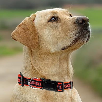 Pets First NFL Cincinnati Bengals Licensed PET COLLAR, Large - Heavy-Duty, Strong, and Durable Dog Collar. Available in 31 Football Teams and 4 Sizes