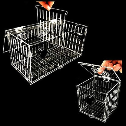 Small Magnetic Acclimation Breeder Box Anemone Coral Strong N52 Magnets for 1/2" Glass (4.5" Cube)