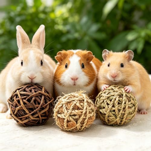 16 Pcs Bunny Chew Grass Balls,Natural Handmade Enrichment Toys for Teeth Grinding, Enrichment Treats for Rodents Rabbits Guinea Pigs Chinchillas Hamsters Mice, Rolling Chew Toys (2.4")