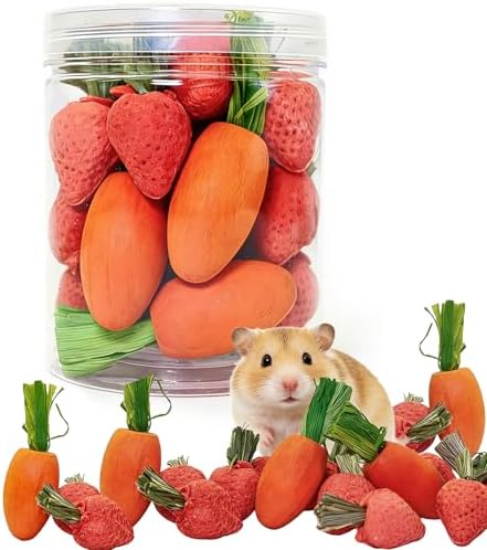 Hamiledyi Hamster Chew Toys Rabbit Chew Toys for Teeth Guinea Pig Treats Enrichment Habitat Decor for Bunny Chinchilla Gerbil Rat (26 Pcs)